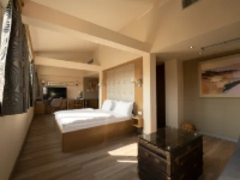 Hotel Piran Hotels in Piran