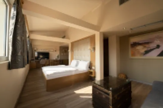 Hotel Piran Hotels in Piran