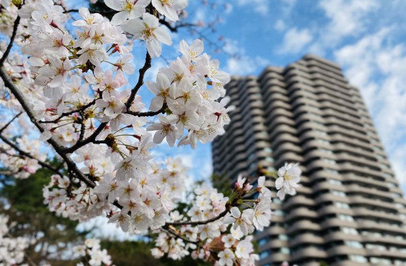 Tokyo Marriott Hotel