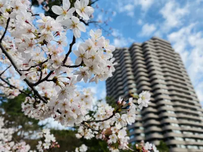 Tokyo Marriott Hotel Hotels in Tokyo