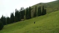 Wangyuan Homestay
