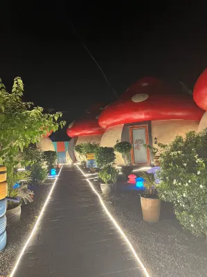 Mushrooms Inn Hotel di 