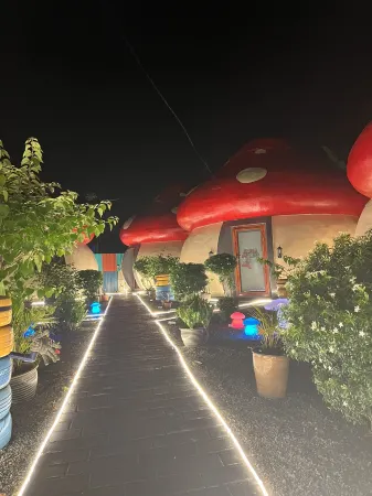 Mushrooms Inn Отели рядом с достопримечательностью «Semporna Ocean Tourism Centre»