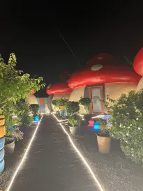 Mushrooms Inn