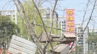 Xianshe Couple Family Holiday Homestay (Xinmi Yinji Tourism Resort Animal Kingdom Branch)