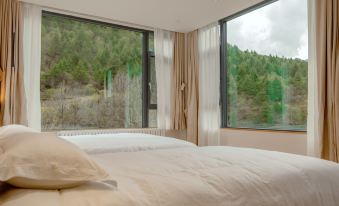 There are clouds on the trees