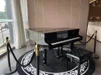 Homeinn Plus Hotel (Pei County Zhongjin Plaza) - Træningscentre