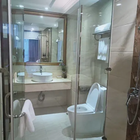 Vienna Hotel (Sheyang Jiefang Road)