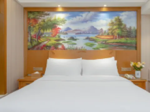 維也納酒店（鄭州衹有河南電影小鎮店） 中牟酒店