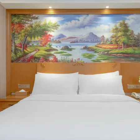 Vienna Hotel (only Henan Film Town in Zhengzhou)