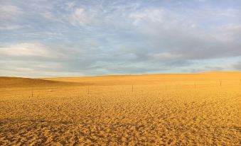 Xilamuren Grassland Harihu Tourism Resort