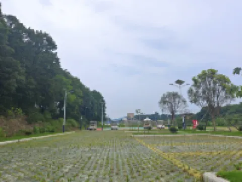 漳河慢生活民宿