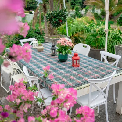Patrick Hotel Hotels near Butterfly Spring Park