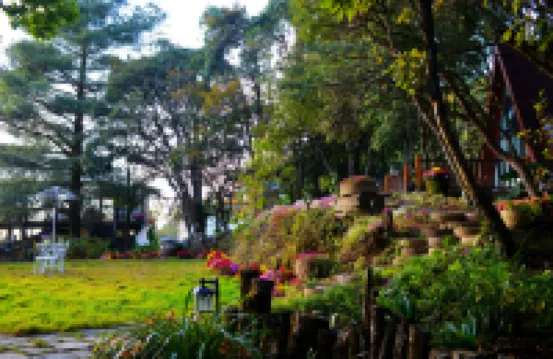 無量山Bodhi野奢帳篷營地