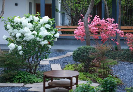 Pepper Tree B&B Hotel Overview