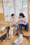 ลี่เจียง เฮนติค รีสอร์ท แอนด์ สปา วิลล่า - ที่มีฟิตเนส