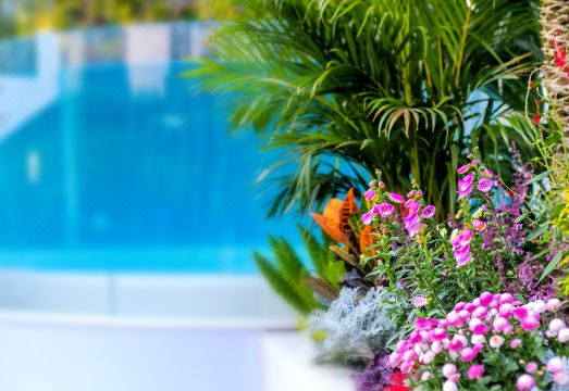 3. 크레센트 문 호..