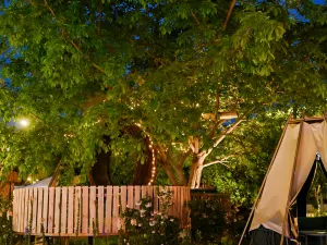 Magic Live Garden Hotel