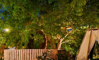 Magic Live Garden Hotel
