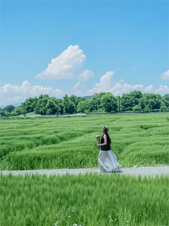 Yunqi·Dali | Parent-Child•Garden•Mountain View Hotel (Erhai S Bay Ecological Corridor Branch) Отели рядом с достопримечательностью «Panxi Ferry»