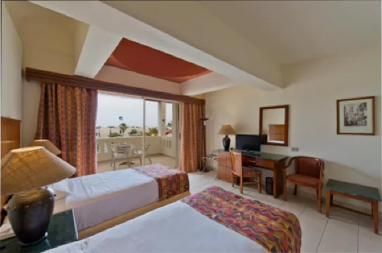 Amphoras Aqua Adults Friendly