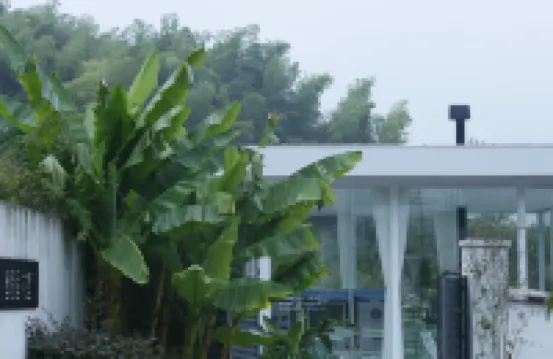 紹興墨隱居·花墅