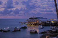 Adiwana Jelita Sejuba Natuna - Bintang 5