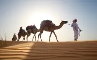 Al Maha, a Luxury Collection Desert Resort & Spa, Dubai