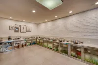 Shanshui  Hotel (Zhaoqing Paifang Park) - 조식 운영