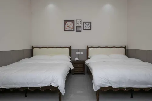 Hengdaohezi Town Shanchi Yunwu Homestay Courtyard - New