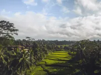 Equipoise Resort- Luxury Eco Bamboo Resort in Ubud by iNi Vie Hospitality - 5 ดาว
