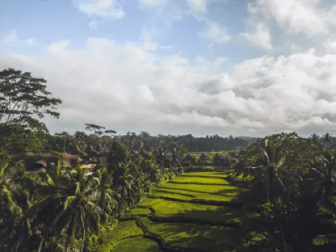 Equipoise Resort & Spa Ubud Managed by Ini VIE Hospitality Hotels in 