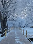 Zhaosu Wanghu Manor - Romantic