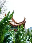 Beijing Camic Inn - piscina