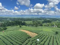 TEA GARDEN INN - Dağ Manzaralı