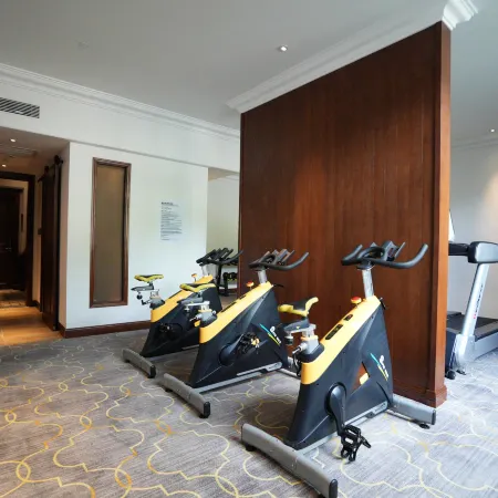 Tonghua Wanfeng Swiss Hotel