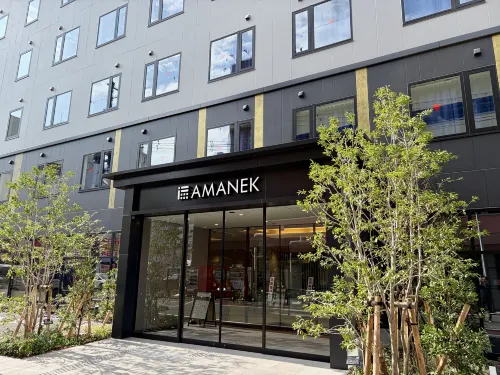 HOTEL AMANEK Kumamoto - New