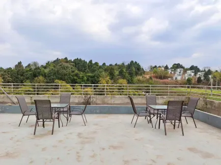 Olive Tree Hotel (Chengdu Tianfu International Airport Branch) Отели рядом с достопримечательностью «Sancha Lake Scenic Area»