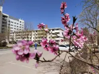 Jiugang Hotel (Jiayuguan Guancheng Fangte Phase 2 Huaboyuan) - Parking