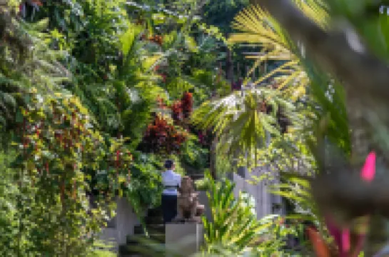 The Kayon Valley Resort Ubud (Adult Only)