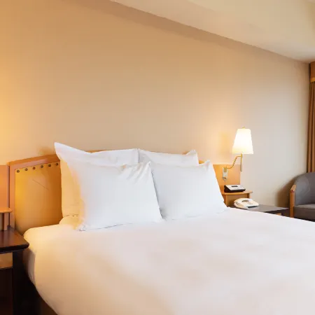 ANA Crowne Plaza Toyama by IHG