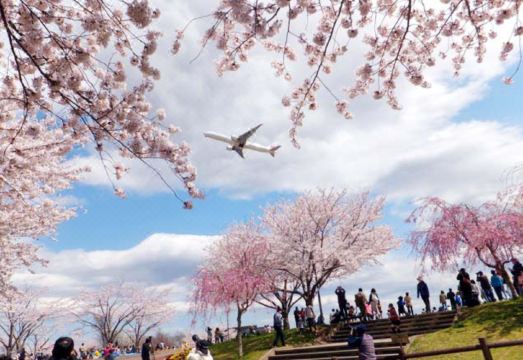 호텔 조식 뷔페 음식