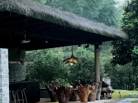 Qingjing Mountain Villa Hotels near Qinxi Xianggu Scenic Area
