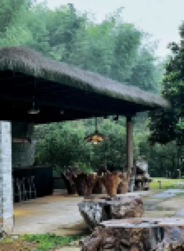 Qingjing Mountain Villa Hotels near Qinxi Xianggu Scenic Area