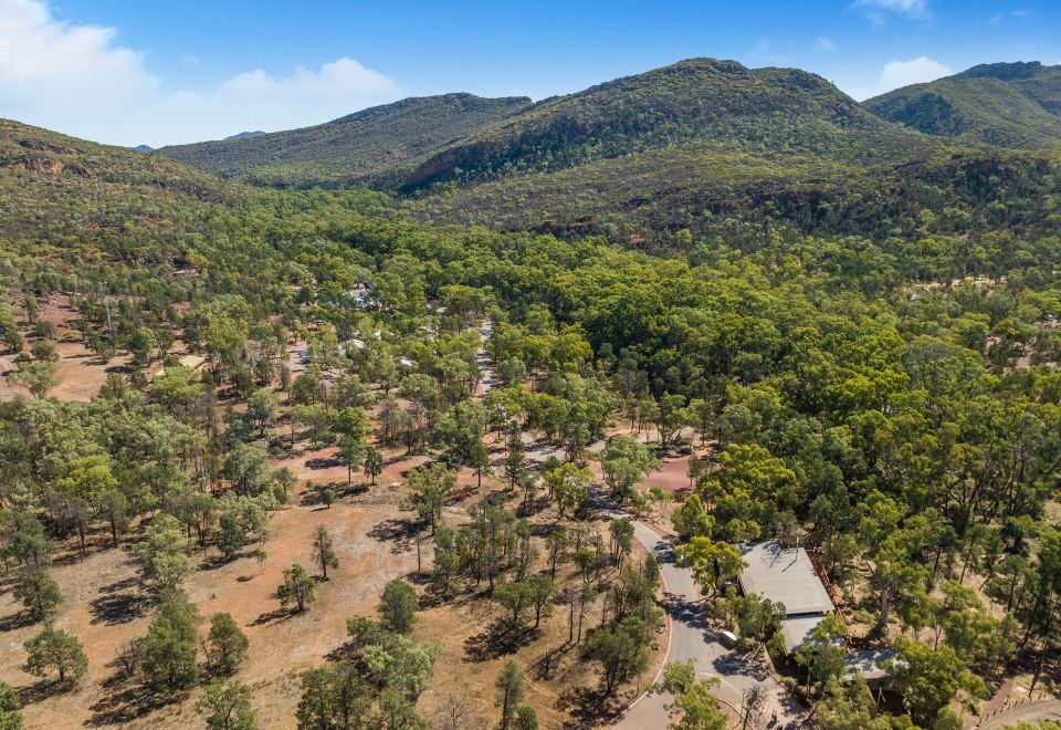 an aerial view of a forested area with a dirt road winding through the forest at Wilpena Pound Resort