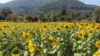 Khoom Kam Kaew فنادق في فراو