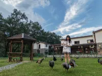 Mountain Fanjing Qixi Resort Hotels in Jiangkou
