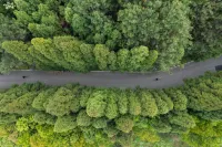 Anshun MADU Jiulongshan Forest Health Resort Hotel Hotels in Anshun