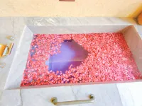 Shanye Hot Spring Hotel (Yichun Warm Soup Tianmu Hot Spring Valley Branch) - balcony