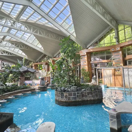 Changbaishan Tianmu Daisi Hot Spring Hotel